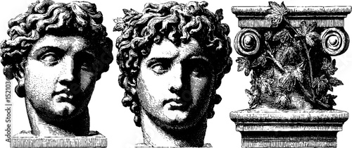 Classical marble busts and ornate column engravings for design and decor inspiration