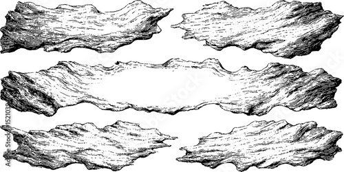 Vintage engraved ink illustration set featuring mottled scrap textures for artistic designs