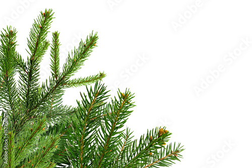 Fotografie Christmas decorations tree branch on corner border, pine branch isolated on transparent background