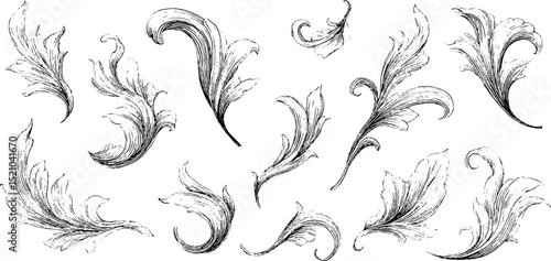 Elegant engraved floral illustrations for organic design and art projects