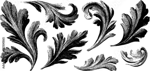 Intricate engraved organic floral shapes set for design and decoration projects