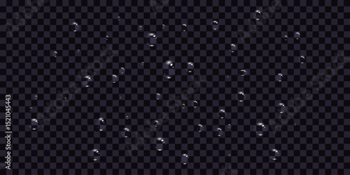 Rain water drops falling on transparent background. Realistic clear water, water drops for creative banner design. Vector.