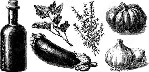 Engraved illustration set of ratatouille vegetables for culinary design