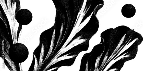 Elegant engraved illustration of rounded leaves with artistic patterns for design inspiration