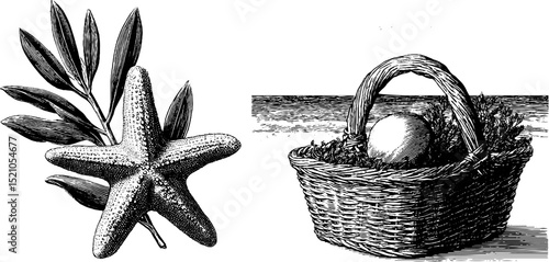 Engraved sea star and nature elements set with basket for artistic design