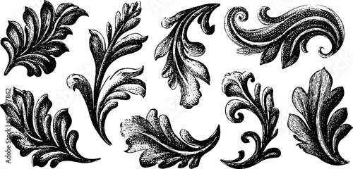 Intricate engraved swirling paisley leaf designs for artistic decoration and print