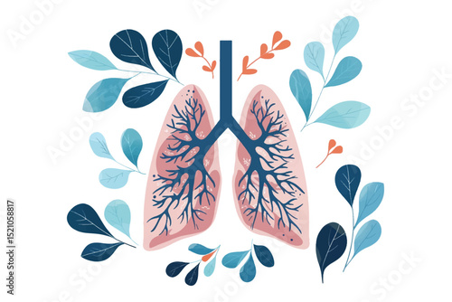 Illustration of  lungs anatomy structure Isolated on white background.