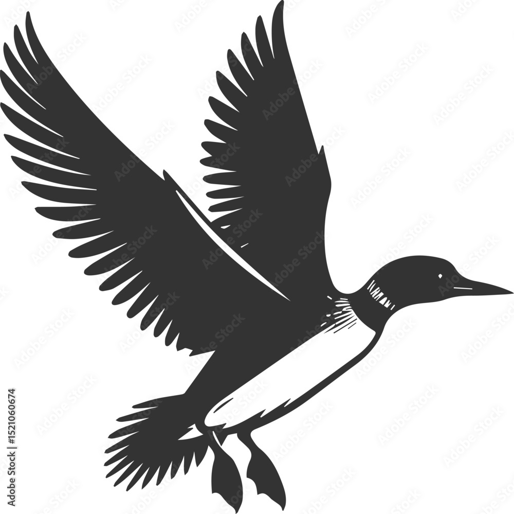 Obraz premium Vector bird loon wildlife animal drawing silhouette