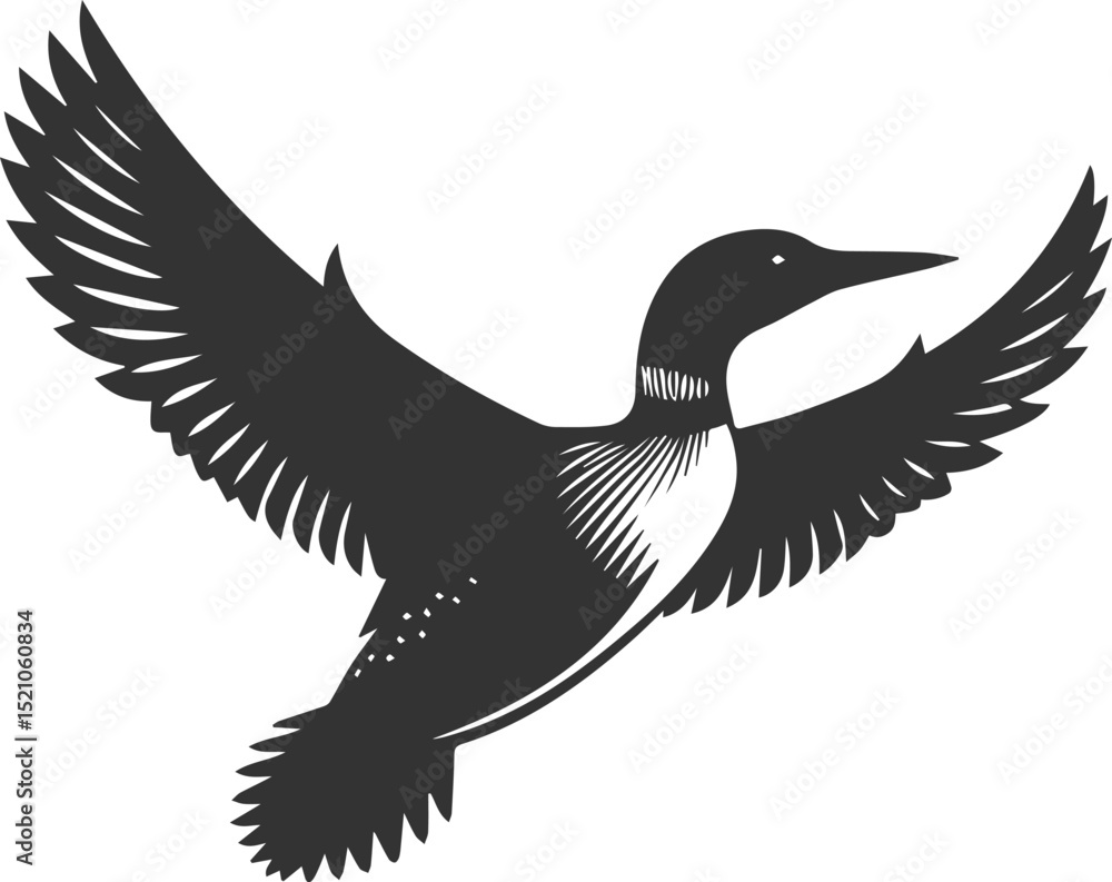 Obraz premium Vector bird loon wildlife animal drawing silhouette