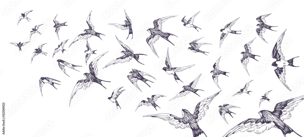 Fototapeta premium Flock of swallows is flying in the sky. Crowd of birds is soaring in the air on vintage sketch. Drawing group of martins flies. Flight of birdies. Hand drawn vector illustration on white background