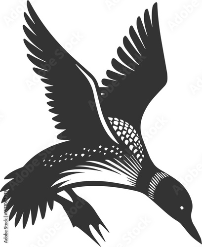 Vector bird loon wildlife animal drawing silhouette