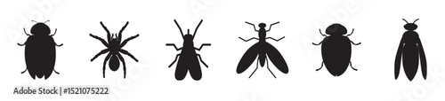 Insect silhouette collection, diverse bug species. Educational visual resource, insect vector set,  Insect vector shapes. Vector illustration