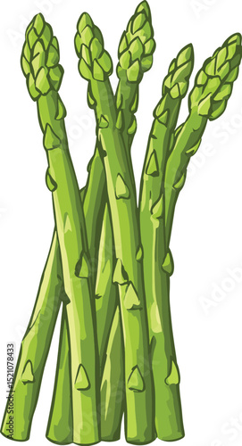 Asparagus Stalks: Fresh, green asparagus stalks arranged for culinary use, ready to be a part of nutritious dishes.