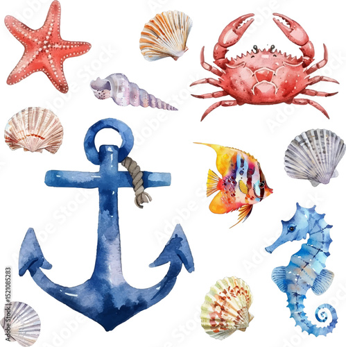 Anchor, crab, fish, seahorse, starfish and various seashells clipart collection on white background. Marine isolated summer set. Ocean animals and anchor vector illustration.