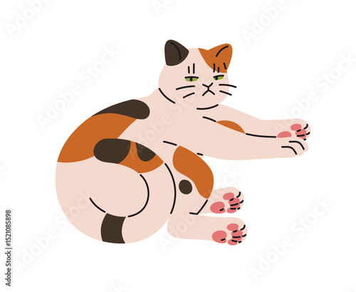 Cute lazy cat spreads paws and lying. Calm happy kitten has a rest. Peaceful funny kitty relaxes. Domestic animal body language, pet behavior. Flat isolated vector illustration on white background