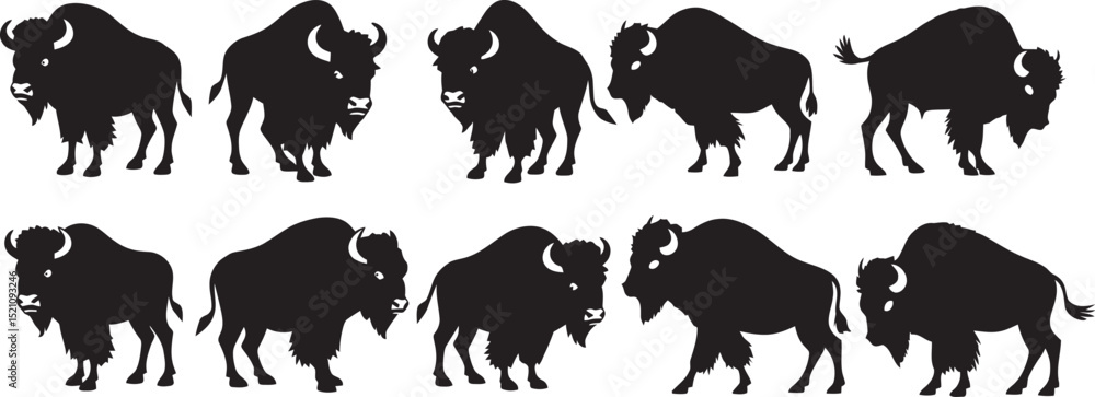 Fototapeta premium Vector collection of diverse buffalo poses. 