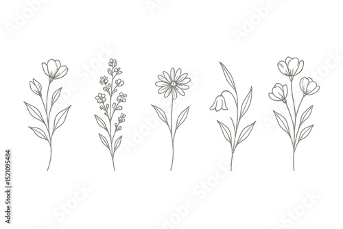 Five floral line art drawings of various flowers and plants on a light beige background displayed nicely