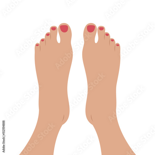 Top of female feet with red painted nails. Womens feet sole with manicure top view. Vector illustration
