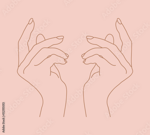 Outline female hands with graceful gesture. Hand gesturing. Vector illustration