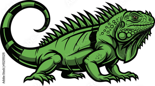 Green iguana