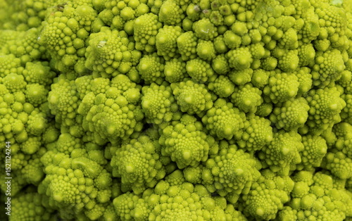 Romanesco Brokkoli
