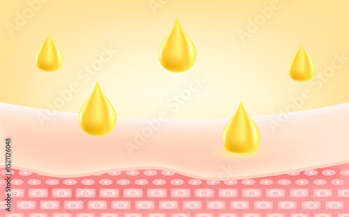 A nourishing oil or serum absorbs into the skin to deeply hydrate and support overall skin health. Vector illustration for nourishing oils, facial moistureizer treatment, skincare products. 