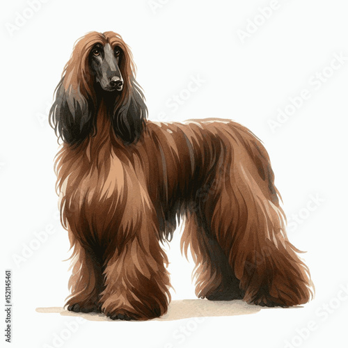 Desert Ghost Muse dog afghan hound isolated watercolor vector illustration svg