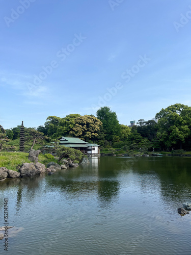 Photography Garden View in Japan