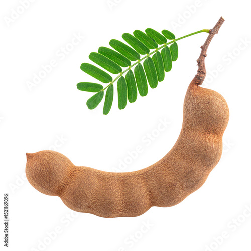 Tamarind pod with green leaf on transparency background