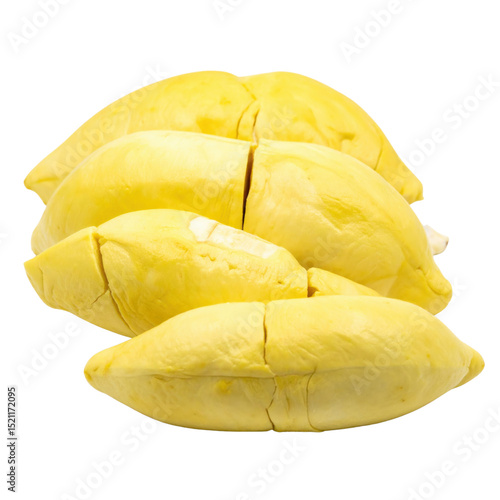 Fresh durian fruit segments on transparency background