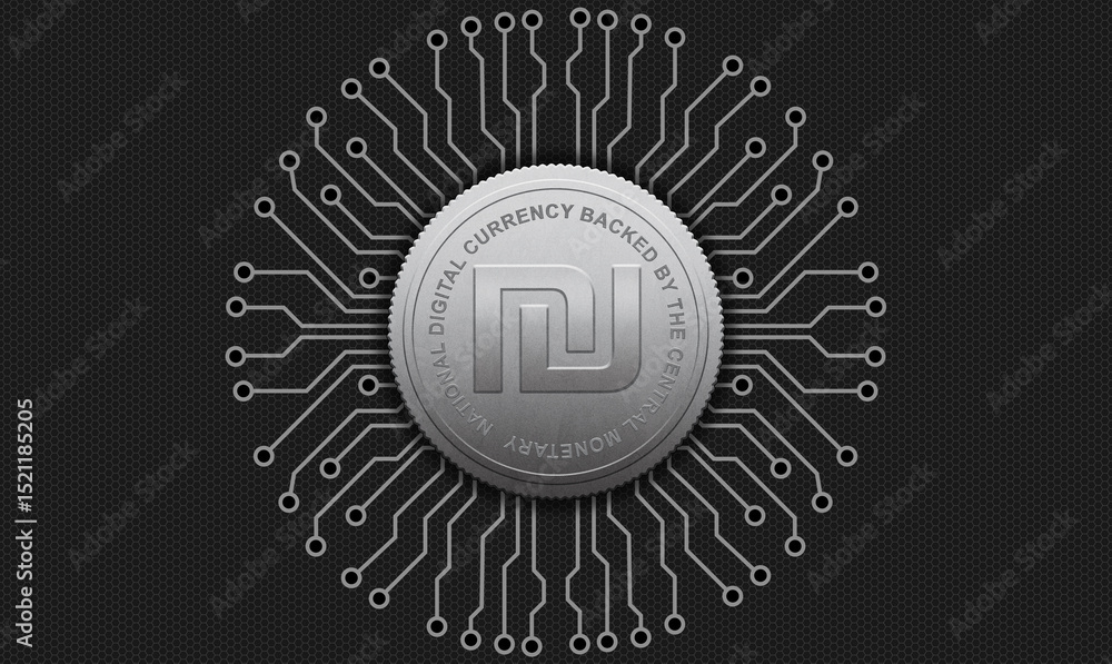 Fototapeta premium Shekel - Central Bank Digital Currency – Government-Issued Virtual Money and Financial Regulation