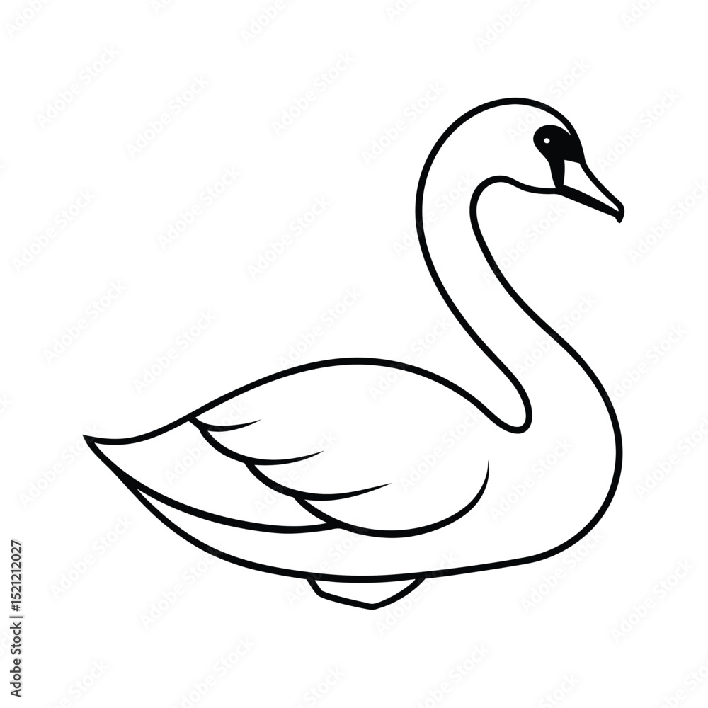 Fototapeta premium black swan vector illustration