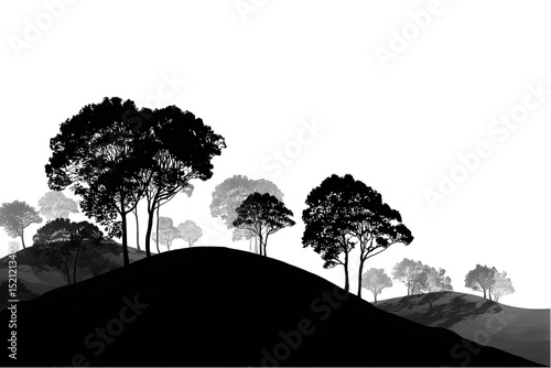 Silhouette of trees on a hill at night