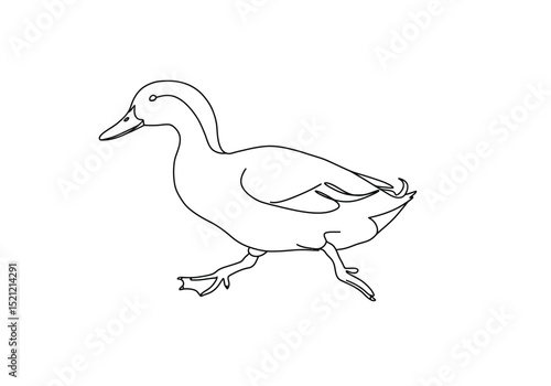 Runner duck drawing. It is a distinctive black and white outline image of a runner duck, known for its upright posture, ready for coloring. Vector sketch line art draw.