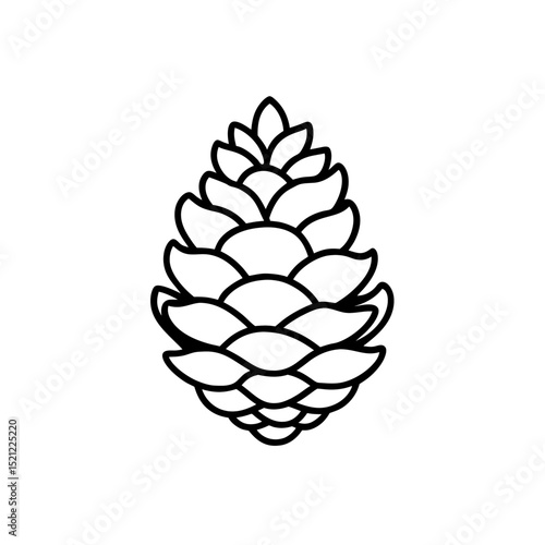 pinecone detailed on white background  