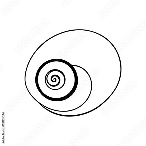 snail shell spiral on white background  