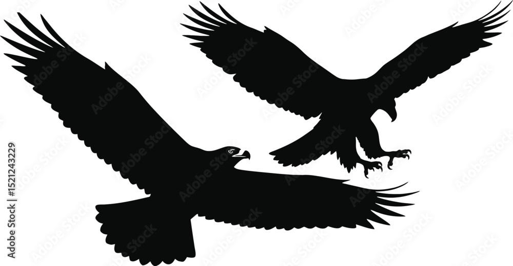 Obraz premium Powerful vector silhouettes of two eagles or large raptors in flight, showcasing majestic soaring and a predatory descent, ideal for nature, wildlife, and strength themes. 