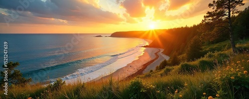 Golden hour sunlight bathes the Estonian coastline in warmth, highlighting the tranquil Baltic Sea and lush greenery Perfect for travel, nature, and summer holiday themes , stunning, seaside, holiday
