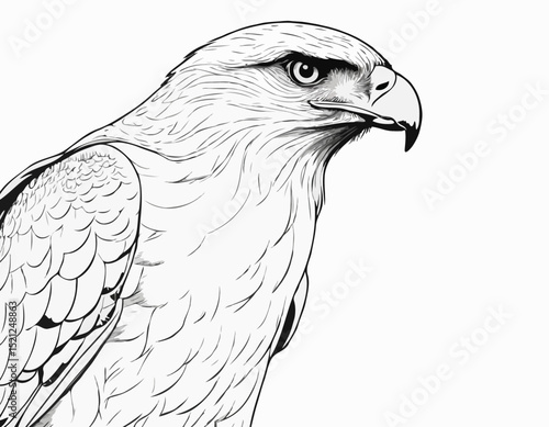 Powerful Hawk Line Art Sketch Embodying Strength and Focus