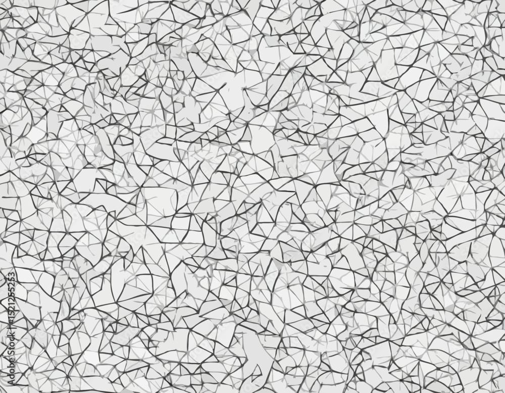 Dynamic Black and White Line Art Forming Intricate Geometric Patterns Dynamic Black and White Line Art Forming Intricate Geometric Patterns