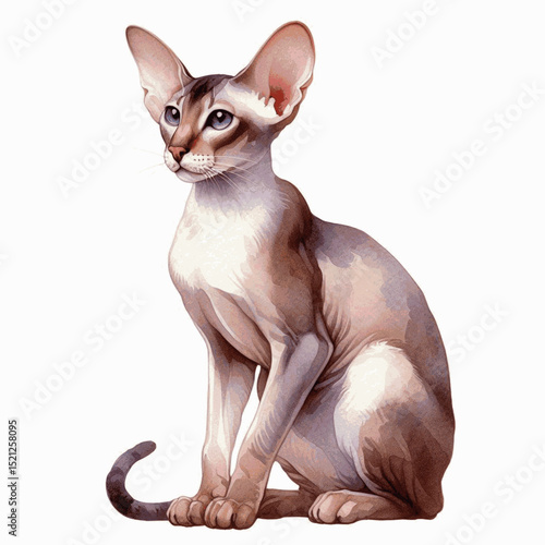 Liquid Emerald Gaze Cat Oriental Shorthair isolated watercolor vector illustration svg