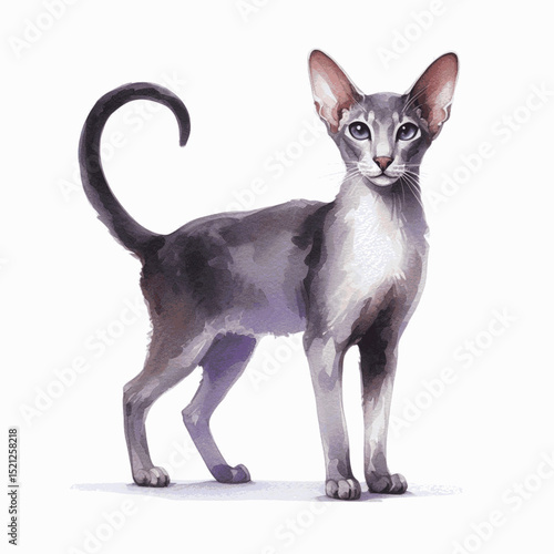 Slender Silhouette Flow Cat Oriental Shorthair isolated watercolor vector illustration svg