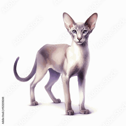 Auditory Elegance Cat Oriental Shorthair isolated watercolor vector illustration svg