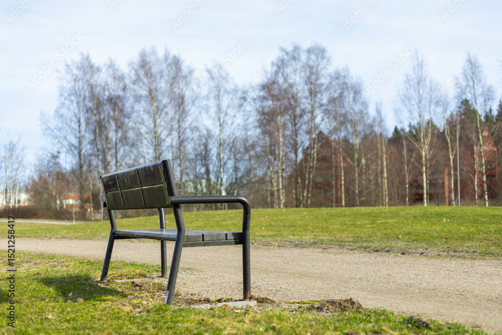 Fototapeta premium Public park in spring, green alley, footpath and old-fashioned wooden bench on the sun