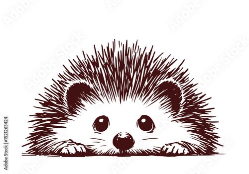 Hedgehog hand drawn sketch vector illustration