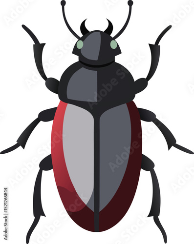 black beetle isolated on white