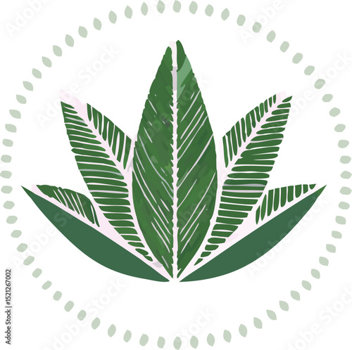 Stylized illustration of a green aloe vera plant inside a circular border.