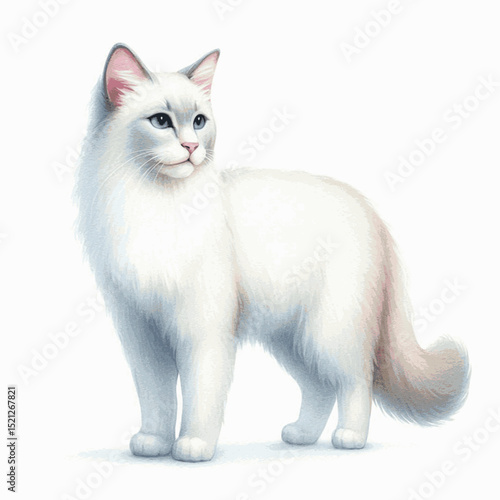 Siam's Living Jewel Cat Khao Manee isolated watercolor vector illustration svg