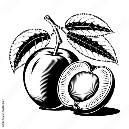 He is a apple ross