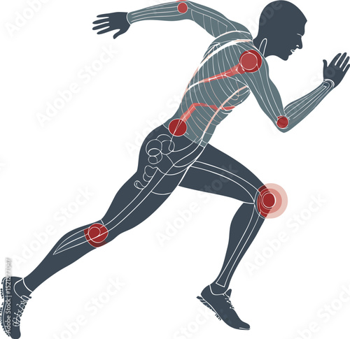 Dynamic illustration of a male athlete running, emphasizing muscle and joint movement.